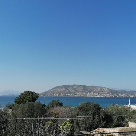Welcome In Salamina 빌라 외부 사진